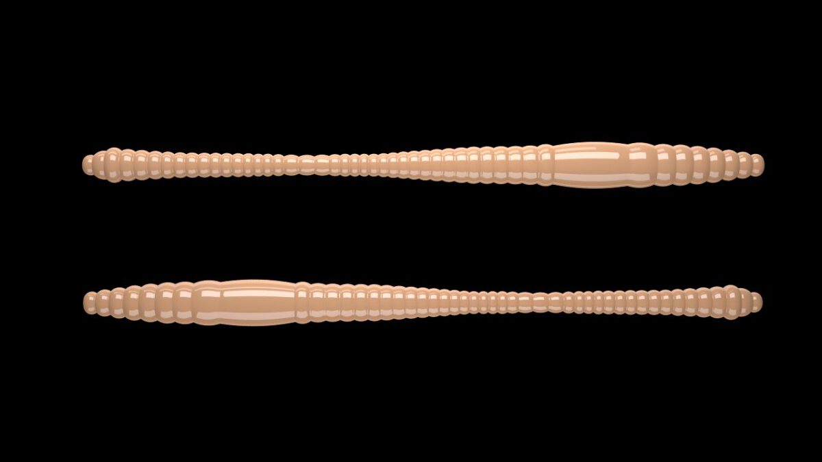 Dying Worm 035 PELLETS.jpg